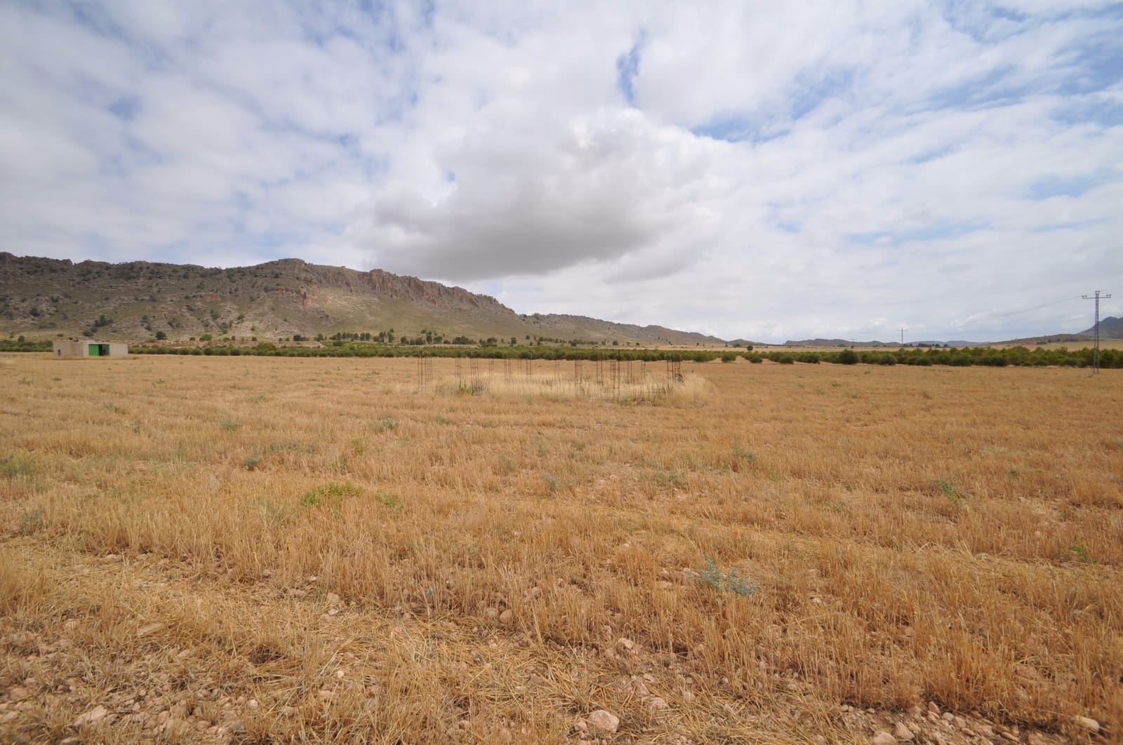 Terreno/Finca Rústica en Yecla en venta - 35.000 € (Ref: 3047329)