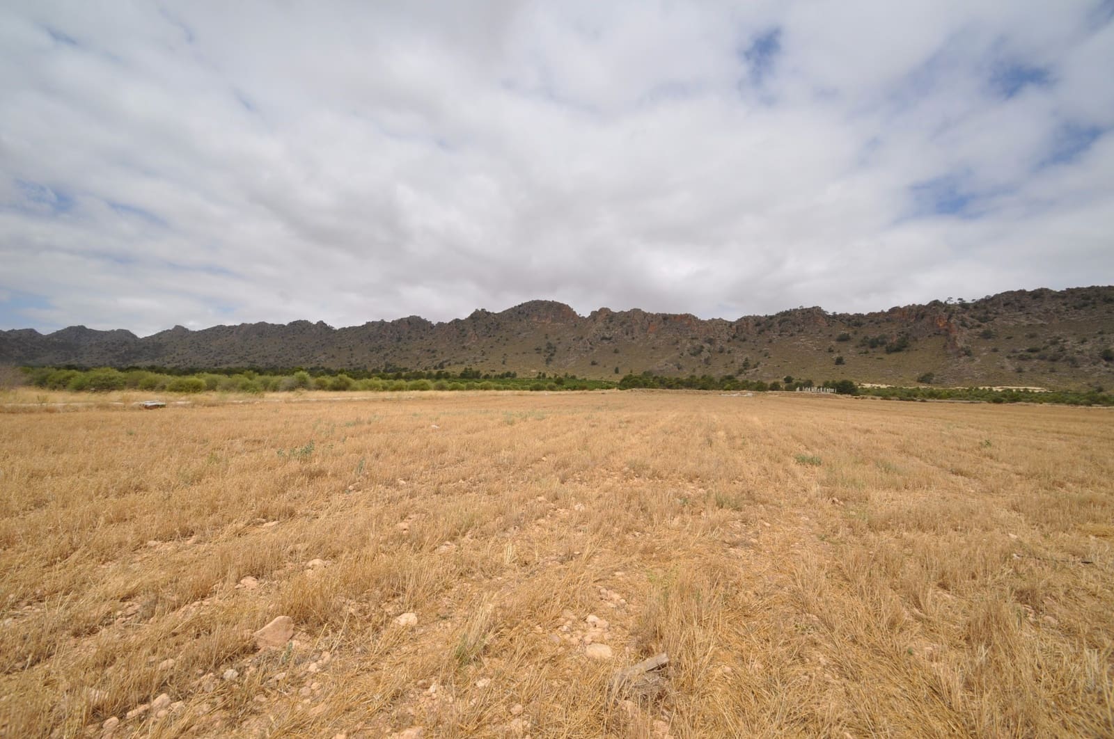 Terreno/Finca Rústica en Yecla en venta - 35.000 € (Ref: 3047329)