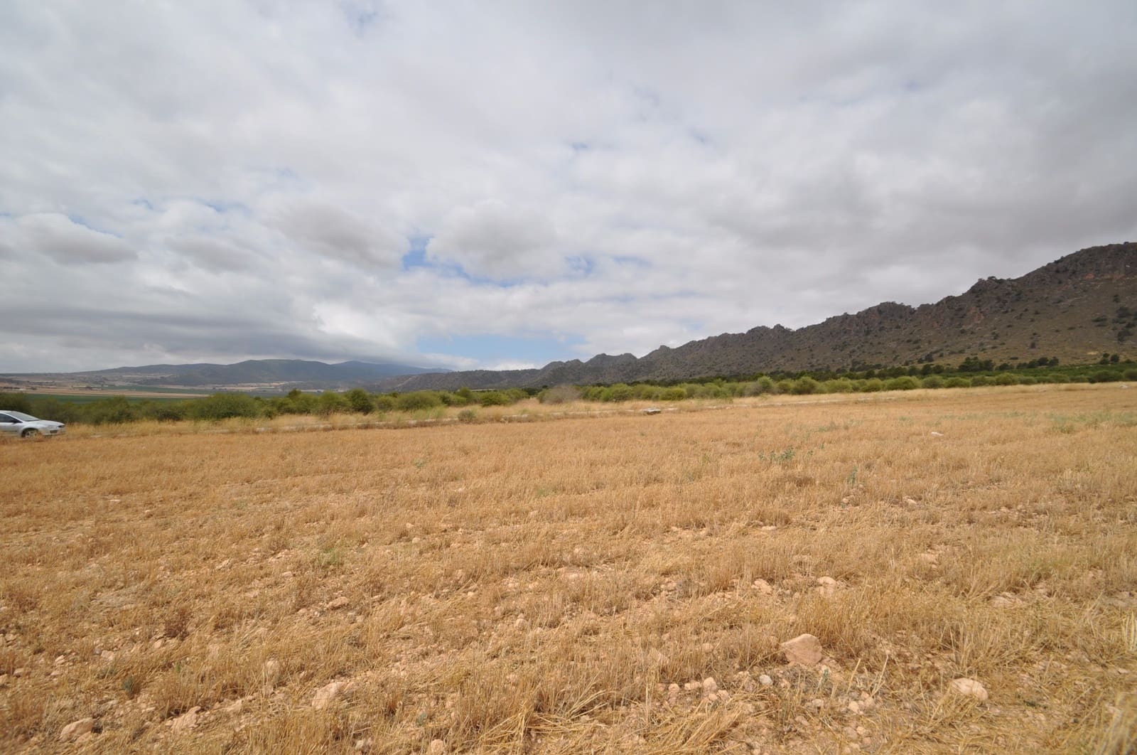 Terreno/Finca Rústica en Yecla en venta - 35.000 € (Ref: 3047329)