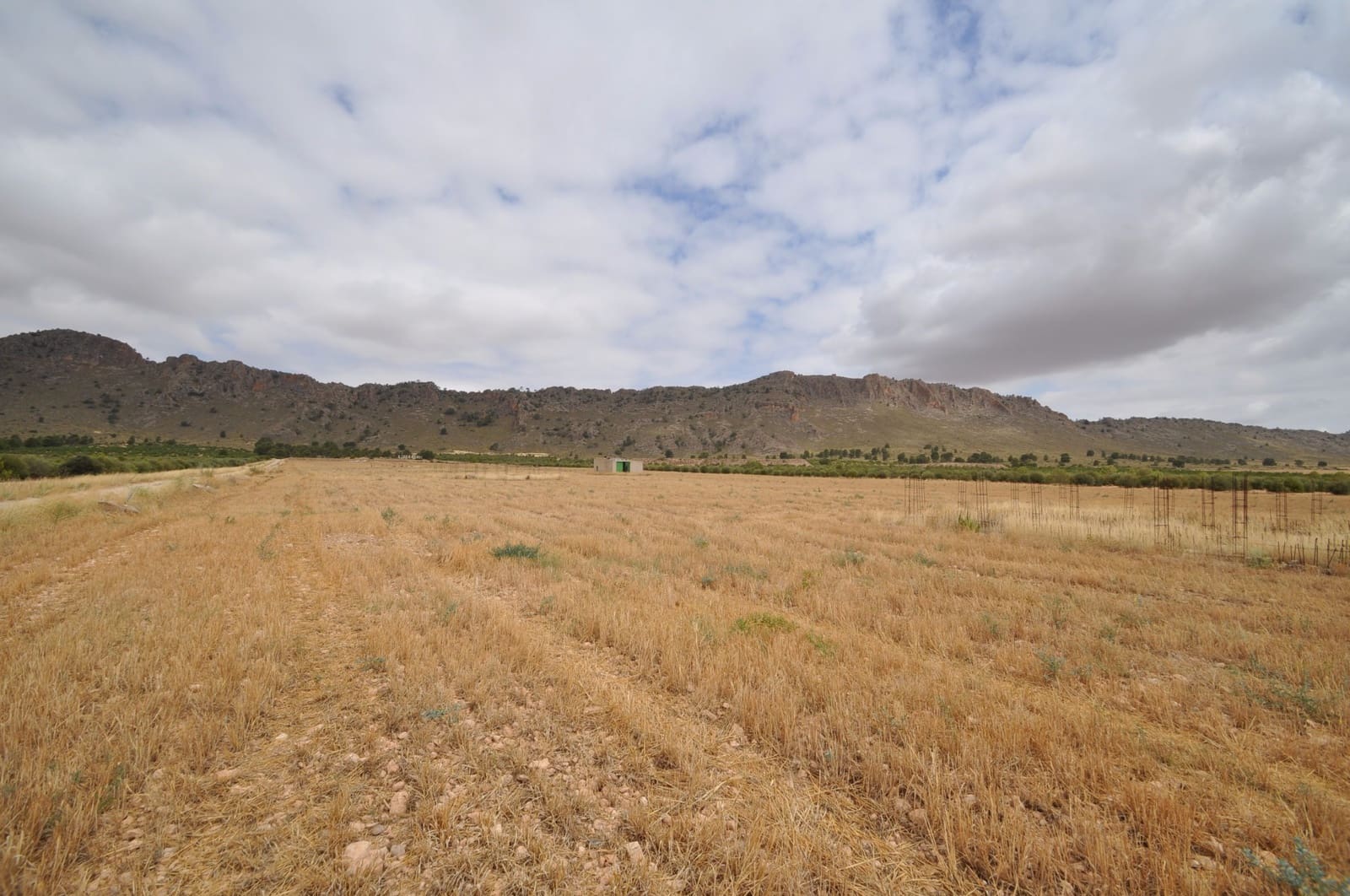 Terreno/Finca Rústica en Yecla en venta - 35.000 € (Ref: 3047329)