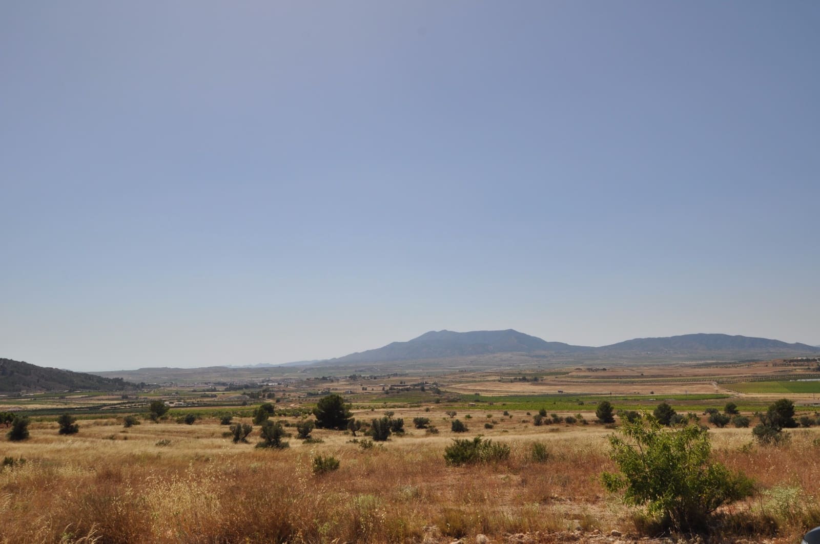 Terreno/Finca Rústica en Pinoso en venta - 27.995 € (Ref: 3170622)