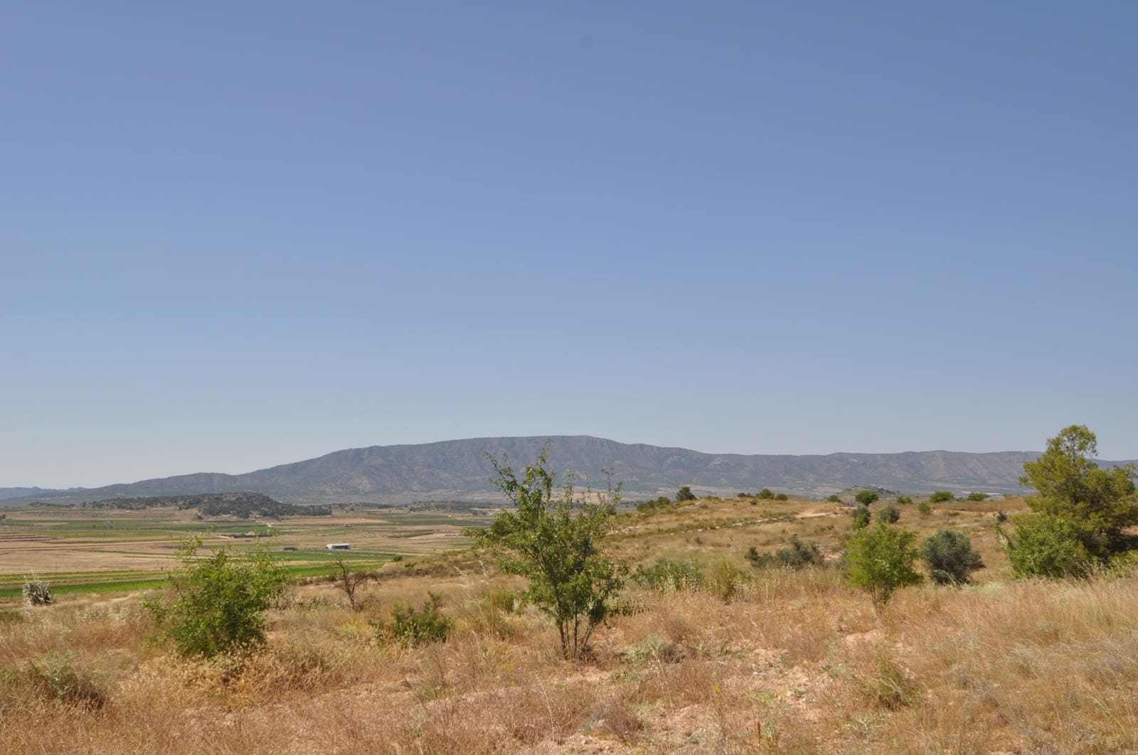 Terreno/Finca Rústica en Pinoso en venta - 27.995 € (Ref: 3170622)