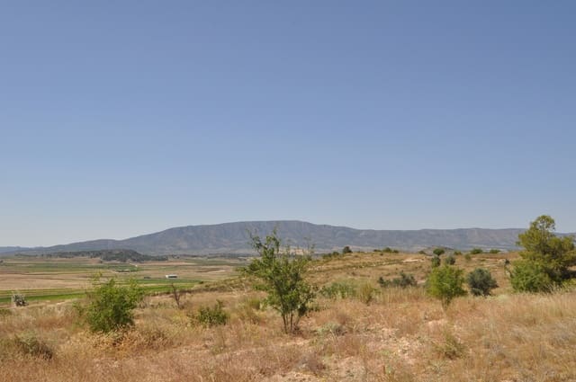 Mark till salu i Pinoso - 27 995 € (Ref: 3170622)