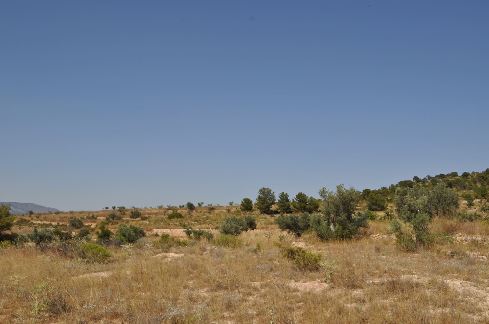 Terreno/Finca Rústica en Pinoso en venta - 27.995 € (Ref: 3170622)