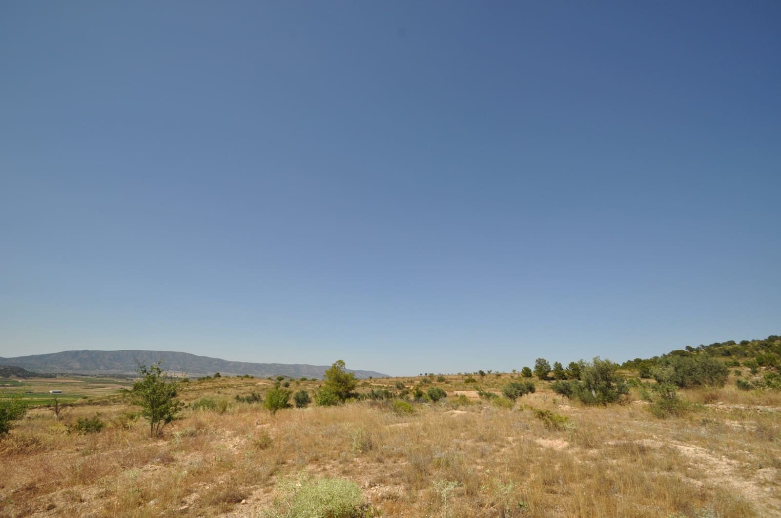 Terreno/Finca Rústica en Pinoso en venta - 27.995 € (Ref: 3170622)