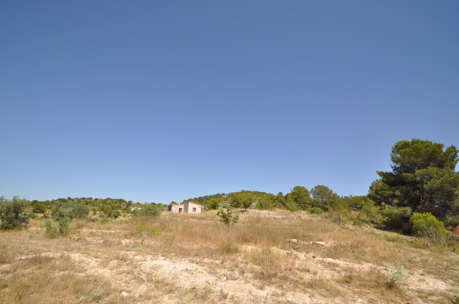 Terreno/Finca Rústica en Pinoso en venta - 27.995 € (Ref: 3170622)