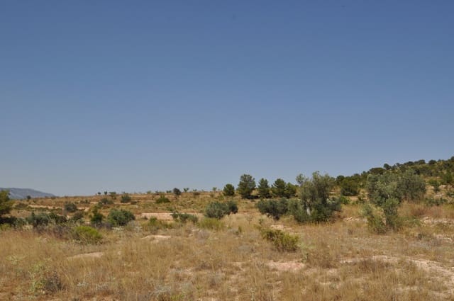 Mark till salu i Pinoso - 27 995 € (Ref: 3170622)