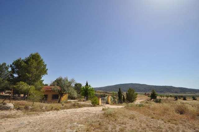 Mark till salu i Pinoso - 27 995 € (Ref: 3170622)
