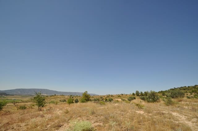 Mark till salu i Pinoso - 27 995 € (Ref: 3170622)