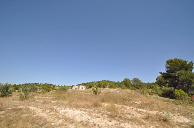 Mark till salu i Pinoso - 27 995 € (Ref: 3170622)