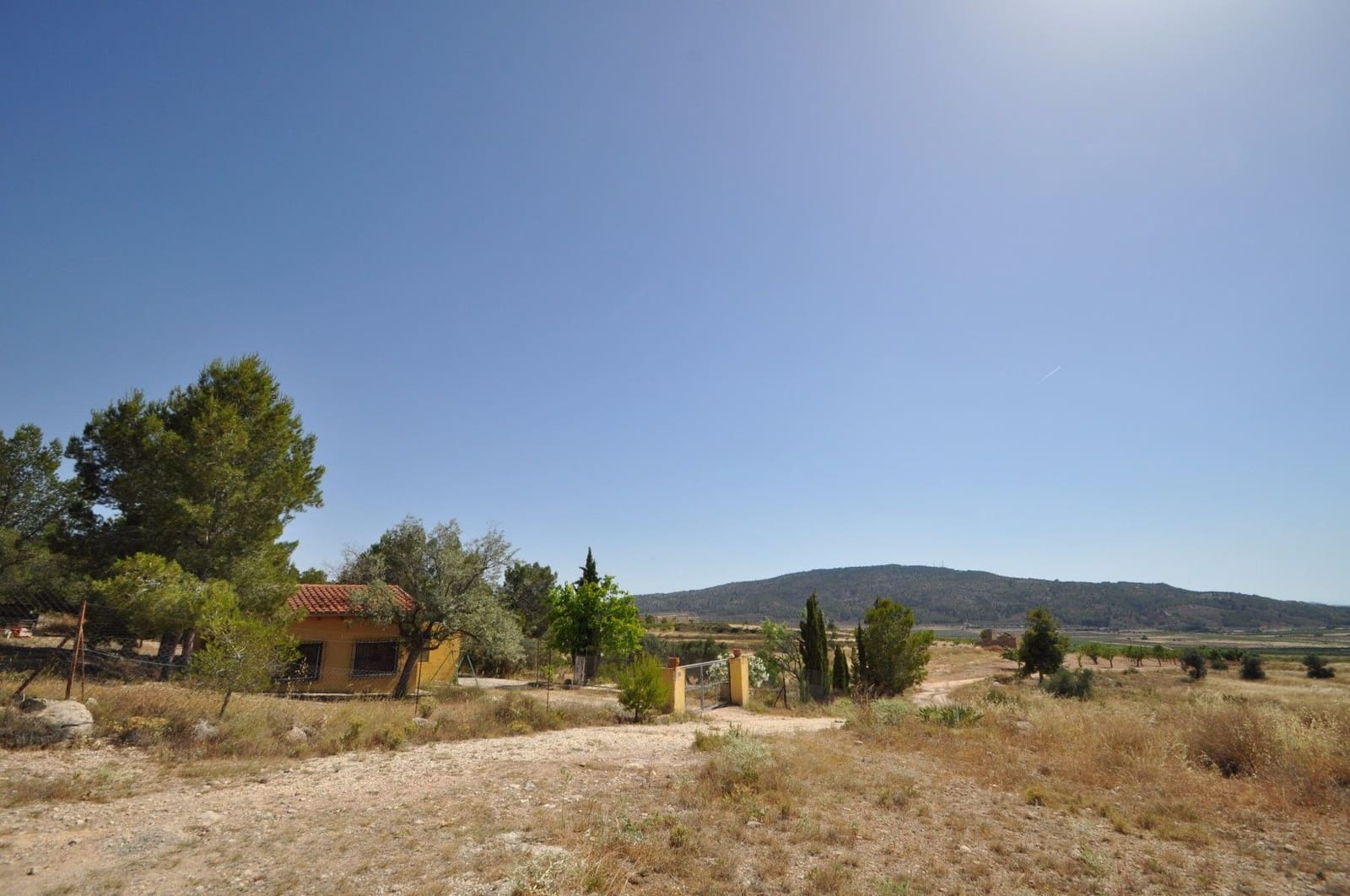 Undeveloped Land for sale in Pinoso - € 27,995 (Ref: 3170622)