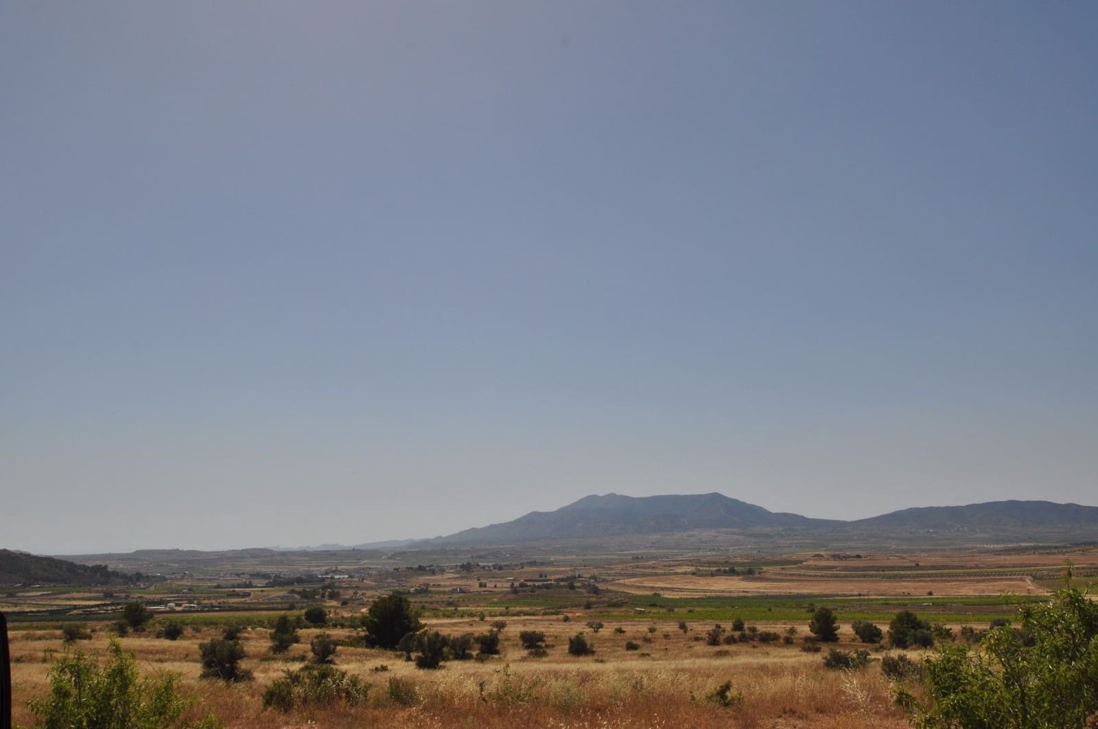 Undeveloped Land for sale in Pinoso - € 27,995 (Ref: 3170622)