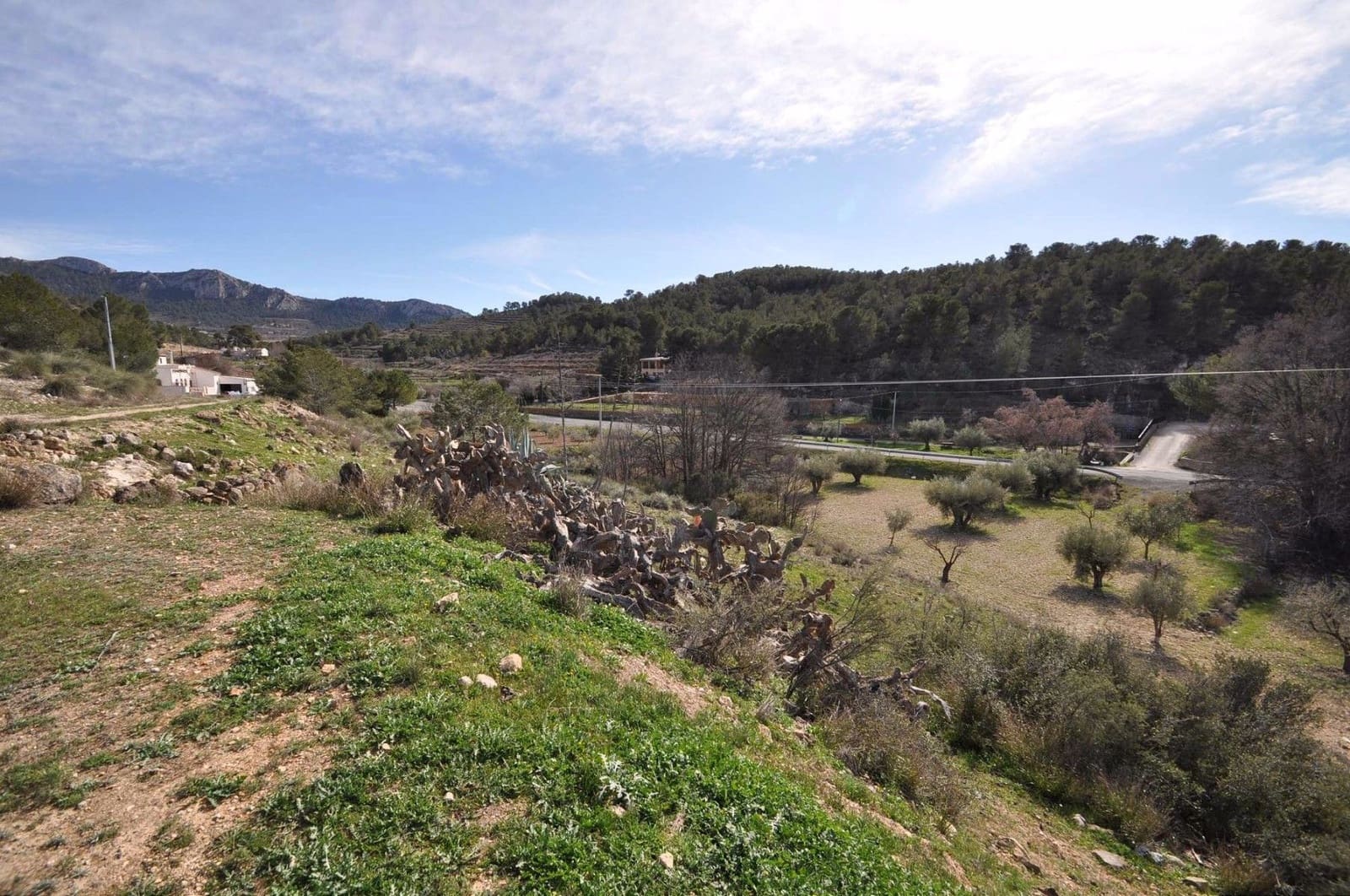 3 bedroom Cave House for sale in La Zarza with garage - € 85,000 (Ref: 3339731)