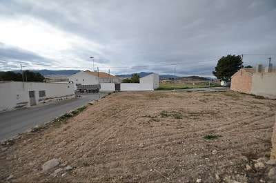 Undeveloped Land for sale in Torre del Rico - € 60,000 (Ref: 3564162)
