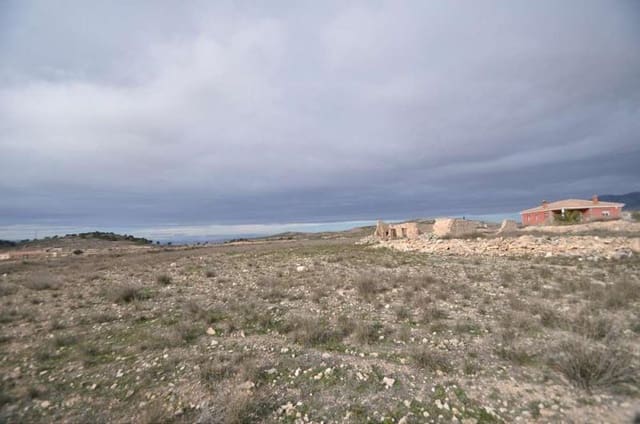 Terrain à Bâtir à vendre à Torre del Rico, Jumilla - 59 995 € (Ref: 4084748)