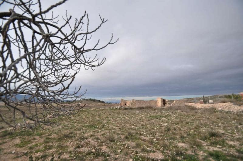 Byggetomt til salgs i Torre del Rico - € 59 995 (Ref: 4084748)