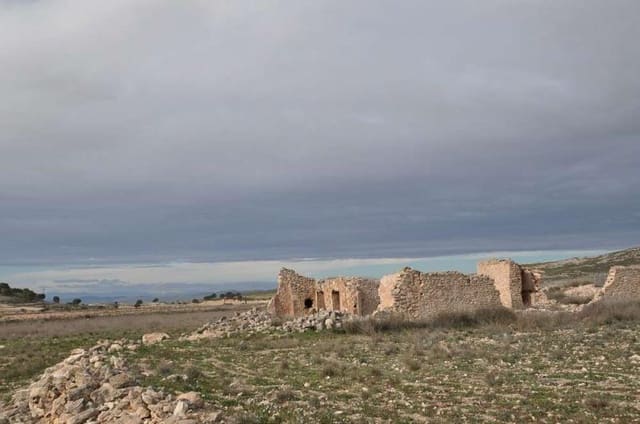 Terrain à Bâtir à vendre à Torre del Rico, Jumilla - 59 995 € (Ref: 4084748)