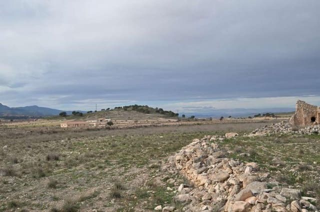 Terrain à Bâtir à vendre à Torre del Rico, Jumilla - 59 995 € (Ref: 4084748)