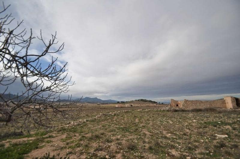 Byggetomt til salgs i Torre del Rico - € 59 995 (Ref: 4084748)