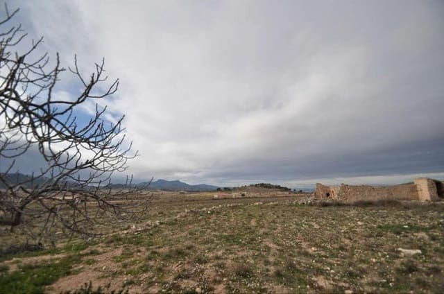 Terrain à Bâtir à vendre à Torre del Rico, Jumilla - 59 995 € (Ref: 4084748)