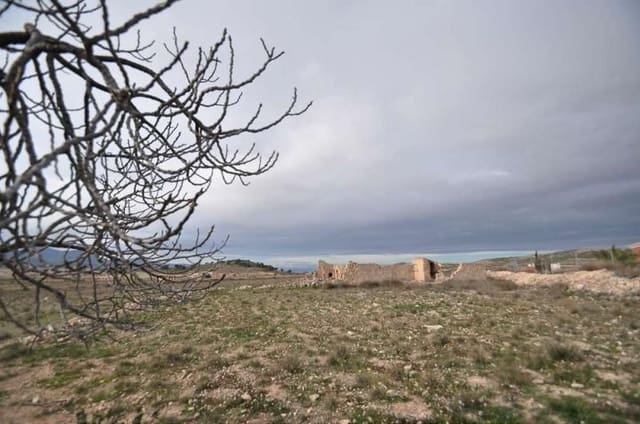 Byggegrund til salg i Torre del Rico, Jumilla - € 59.995 (Ref: 4084748)