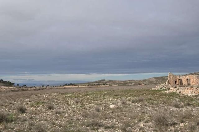 Byggegrund til salg i Torre del Rico, Jumilla - € 59.995 (Ref: 4084748)