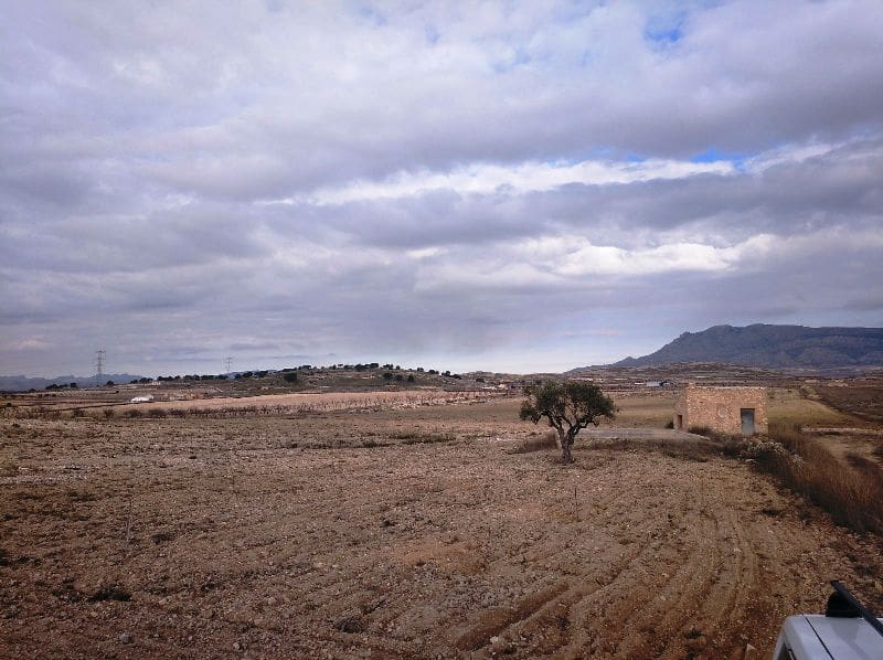 Landgrundstück zu verkaufen in Torre del Rico - 349.999 € (Ref: 4401484)