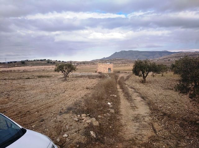 Undeveloped Land for sale in Torre del Rico, Jumilla - € 349,999 (Ref: 4401484)