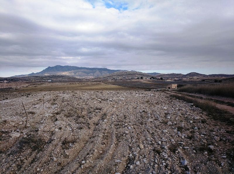 Landgrundstück zu verkaufen in Torre del Rico - 349.999 € (Ref: 4401484)