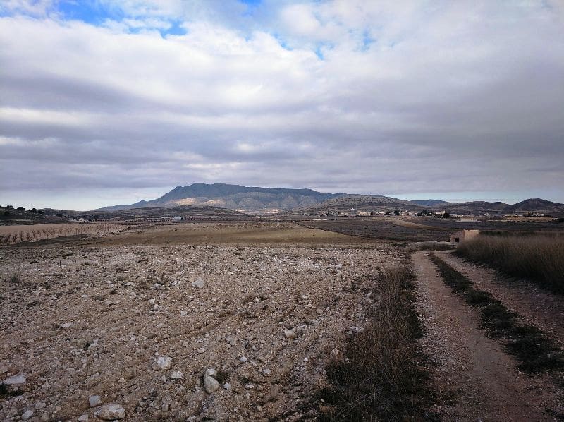 Landgrundstück zu verkaufen in Torre del Rico - 349.999 € (Ref: 4401484)