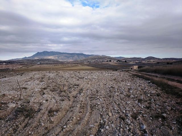 Undeveloped Land for sale in Torre del Rico, Jumilla - € 349,999 (Ref: 4401484)