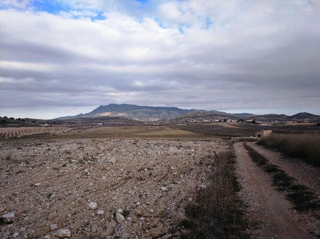 Undeveloped Land for sale in Torre del Rico, Jumilla - € 349,999 (Ref: 4401484)