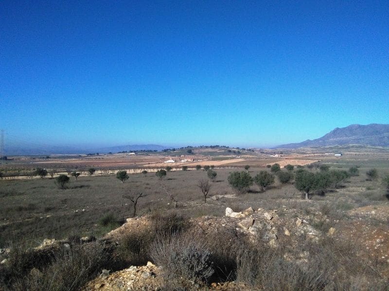 Undeveloped Land for sale in Torre del Rico - € 349,999 (Ref: 4401484)