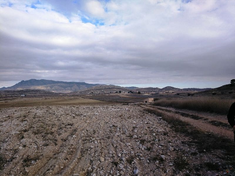 Undeveloped Land for sale in Torre del Rico - € 349,999 (Ref: 4401484)