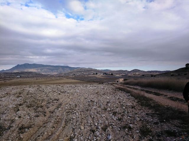 Grunde uden byggetilladelser til salg i Torre del Rico, Jumilla - € 349.999 (Ref: 4401484)