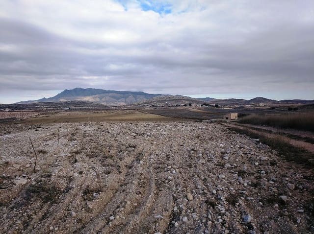Grunde uden byggetilladelser til salg i Torre del Rico, Jumilla - € 349.999 (Ref: 4401484)