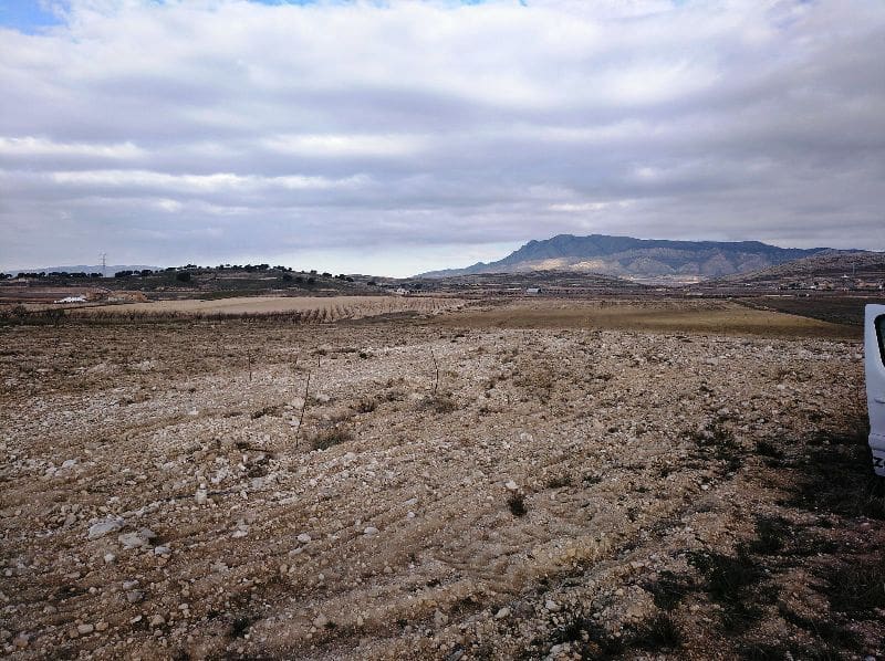 Undeveloped Land for sale in Torre del Rico - € 349,999 (Ref: 4401484)