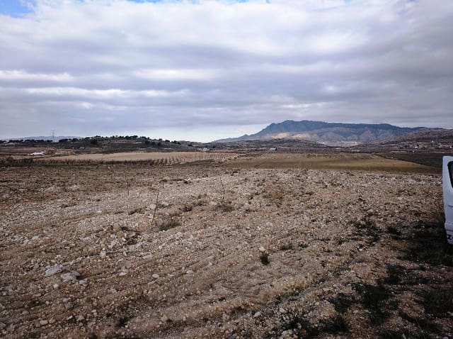 Terre non Aménagée à vendre à Torre del Rico, Jumilla - 349 999 € (Ref: 4401484)