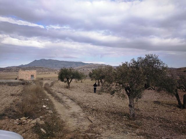 Terre non Aménagée à vendre à Torre del Rico, Jumilla - 349 999 € (Ref: 4401484)