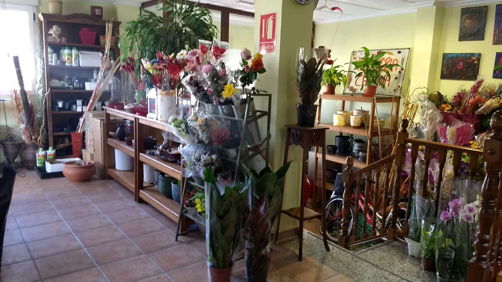Casa de 3 habitaciones en Pinoso en venta - 149.999 € (Ref: 4401486)