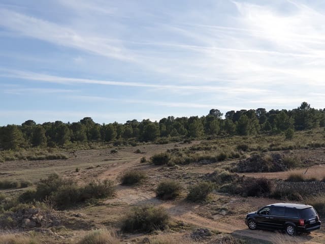 Terre non Aménagée à vendre à Ubeda, Pinoso - 30 995 € (Ref: 4888773)