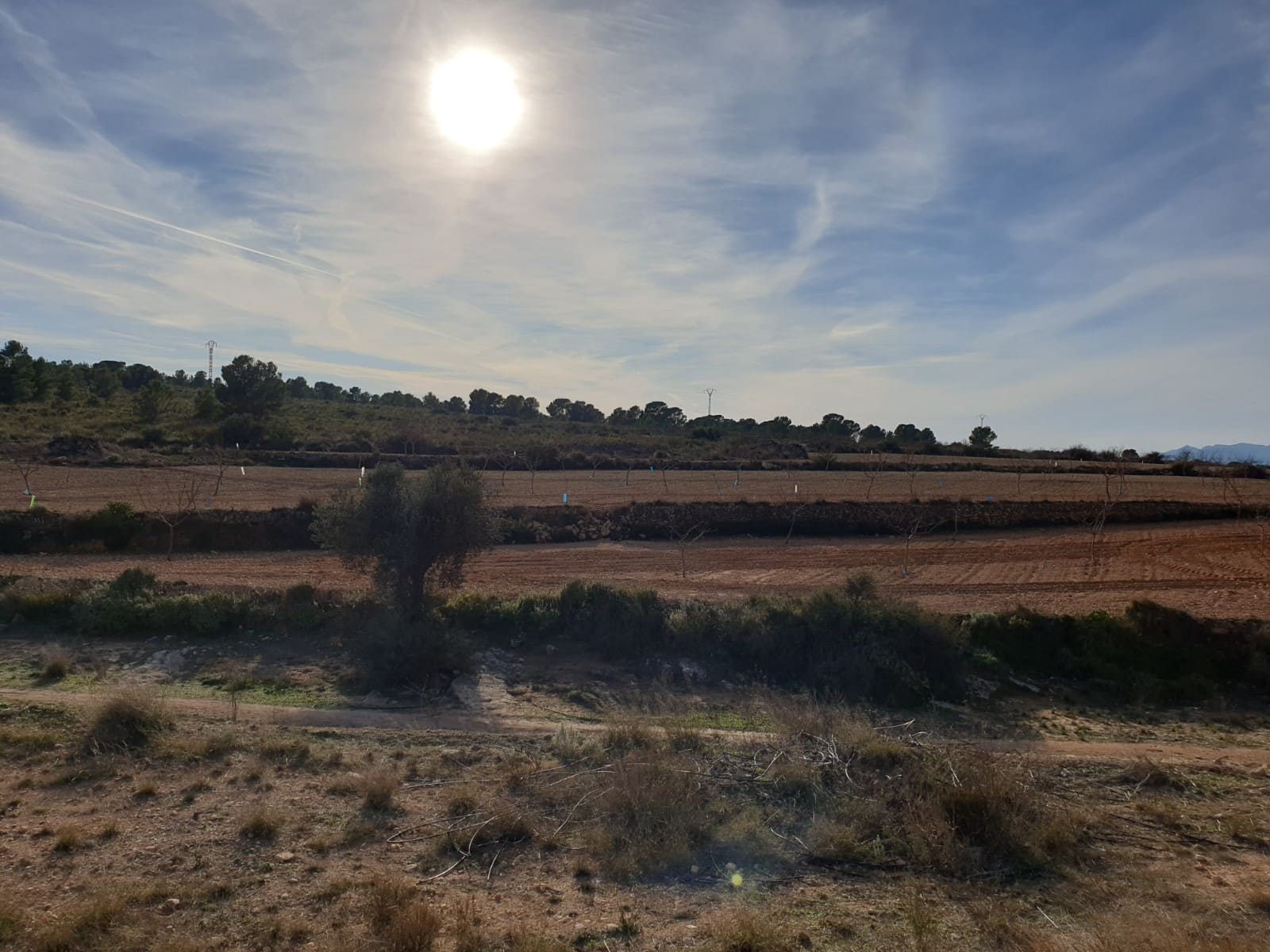 Terre non Aménagée à vendre à Pinoso - 30 995 € (Ref: 4888773)