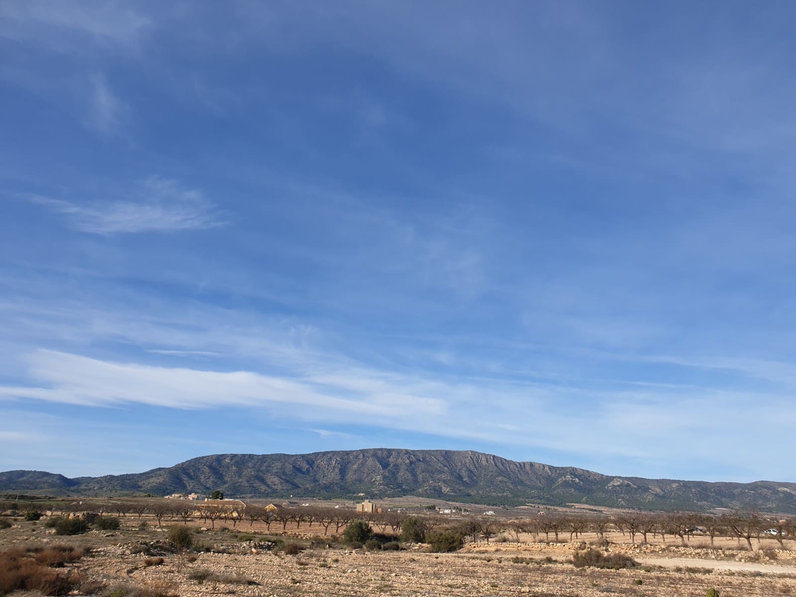 Terre non Aménagée à vendre à Pinoso - 30 995 € (Ref: 4888773)