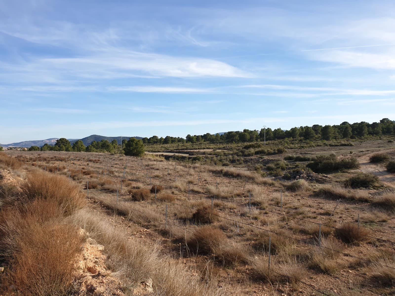Terre non Aménagée à vendre à Pinoso - 30 995 € (Ref: 4888773)
