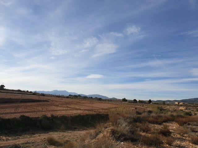 Terre non Aménagée à vendre à Ubeda, Pinoso - 30 995 € (Ref: 4888773)