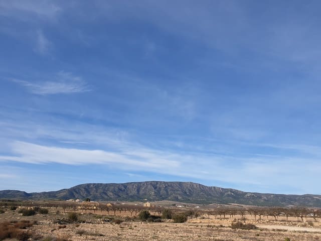 Terre non Aménagée à vendre à Ubeda, Pinoso - 30 995 € (Ref: 4888773)