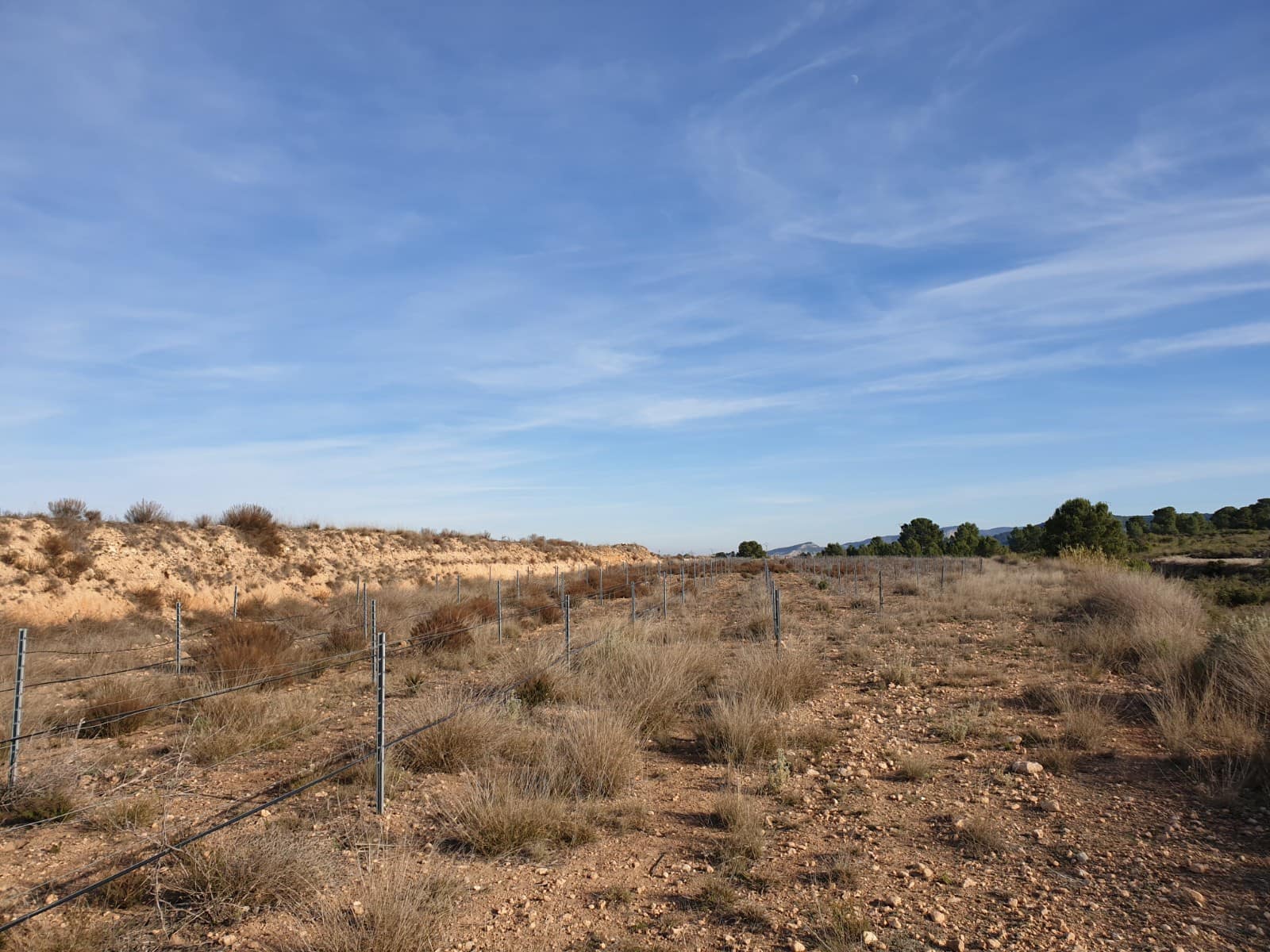 Terre non Aménagée à vendre à Pinoso - 30 995 € (Ref: 4888773)