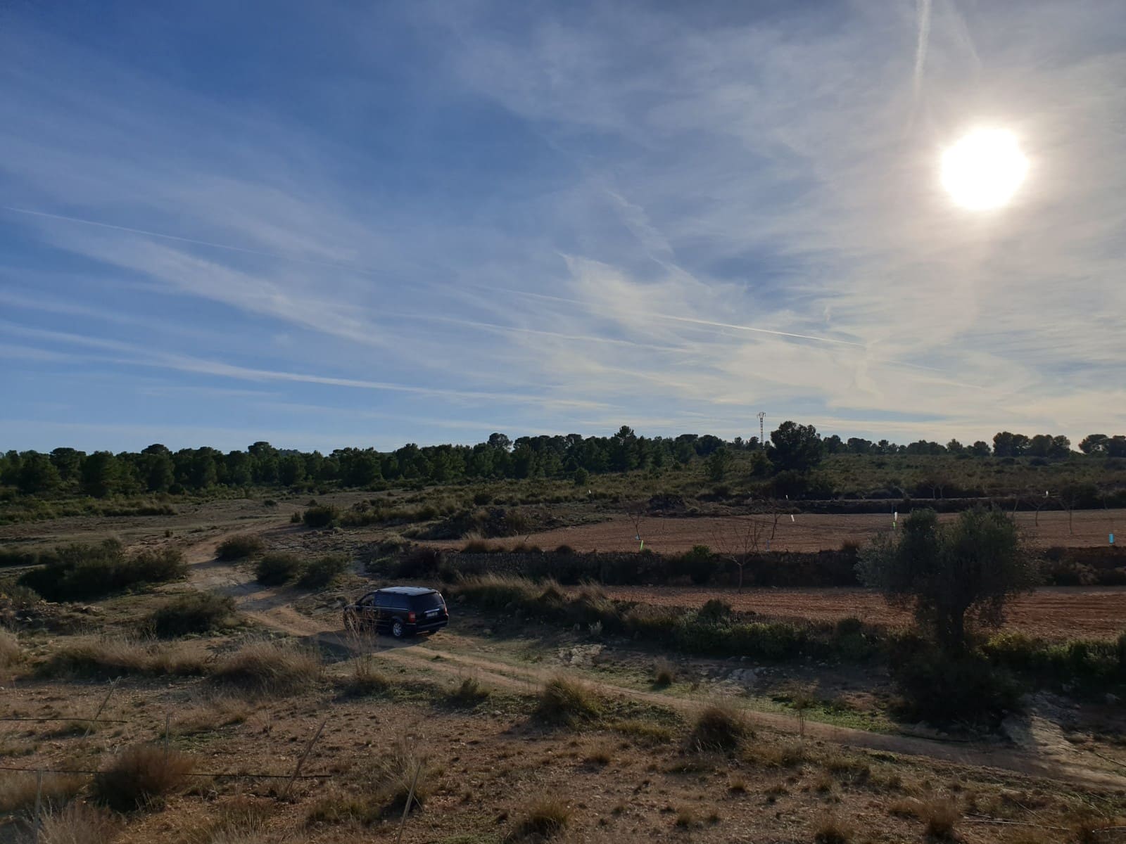 Terre non Aménagée à vendre à Pinoso - 30 995 € (Ref: 4888773)