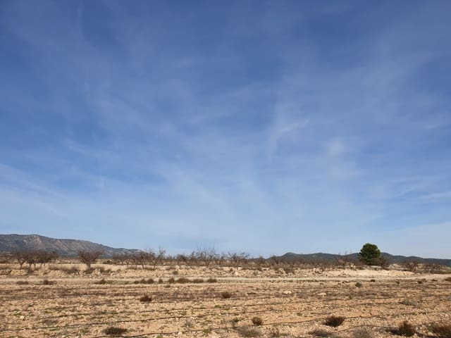 Terre non Aménagée à vendre à Ubeda, Pinoso - 30 995 € (Ref: 4888773)