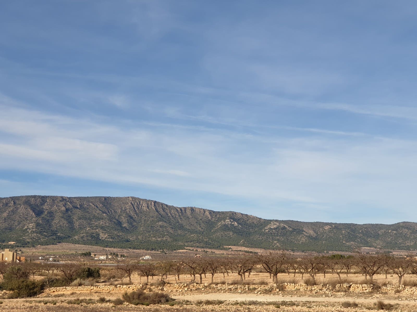 Terre non Aménagée à vendre à Pinoso - 30 995 € (Ref: 4888773)